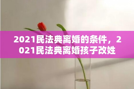 2021民法典离婚的条件，2021民法典离婚孩子改姓