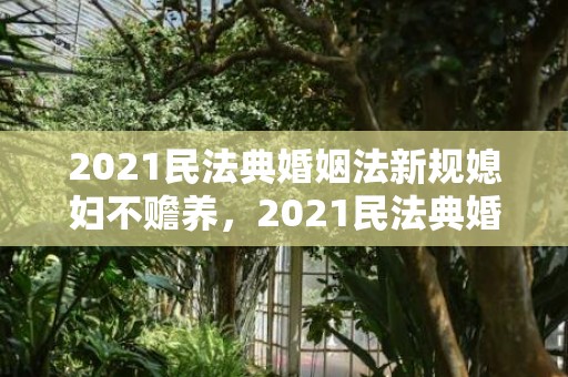 2021民法典婚姻法新规媳妇不赡养，2021民法典婚姻财产分割