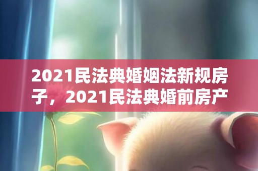 2021民法典婚姻法新规房子，2021民法典婚前房产加名字