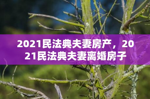 2021民法典夫妻房产，2021民法典夫妻离婚房子