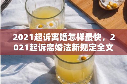 2021起诉离婚怎样最快，2021起诉离婚法新规定全文