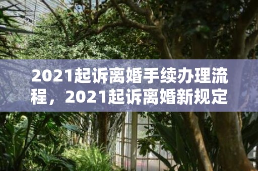 2021起诉离婚手续办理流程，2021起诉离婚新规定最新