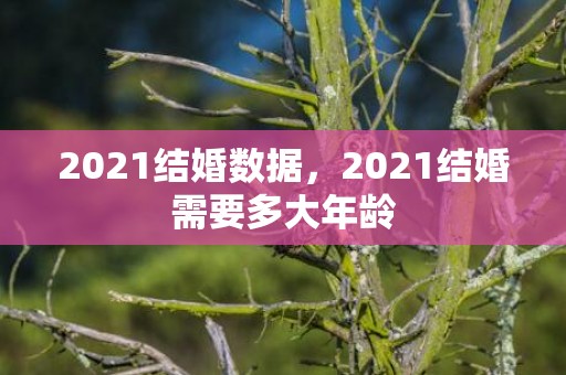 2021结婚数据，2021结婚需要多大年龄