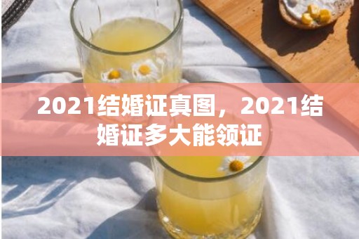 2021结婚证真图，2021结婚证多大能领证