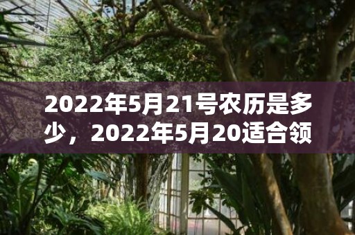 2022年5月21号农历是多少，2022年5月20适合领证吗