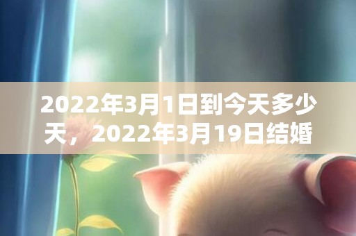 2022年3月1日到今天多少天，2022年3月19日结婚吉日