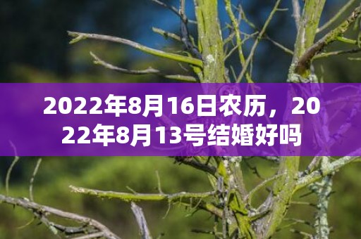 2022年8月16日农历，2022年8月13号结婚好吗