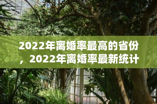 2022年离婚率最高的省份，2022年离婚率最新统计湖南