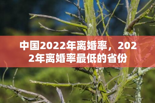 中国2022年离婚率，2022年离婚率最低的省份