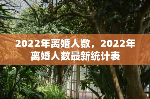 2022年离婚人数，2022年离婚人数最新统计表