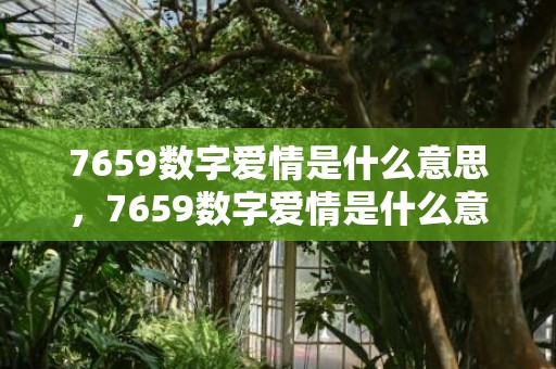 7659数字爱情是什么意思，7659数字爱情是什么意思