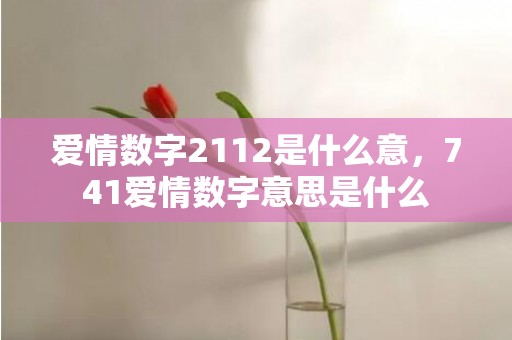 爱情数字2112是什么意，741爱情数字意思是什么