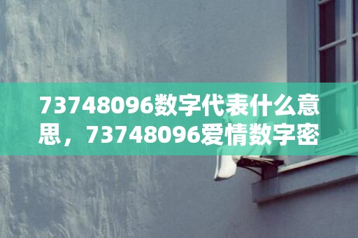 73748096数字代表什么意思，73748096爱情数字密码
