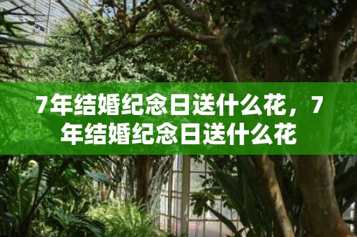 7年结婚纪念日送什么花，7年结婚纪念日送什么花