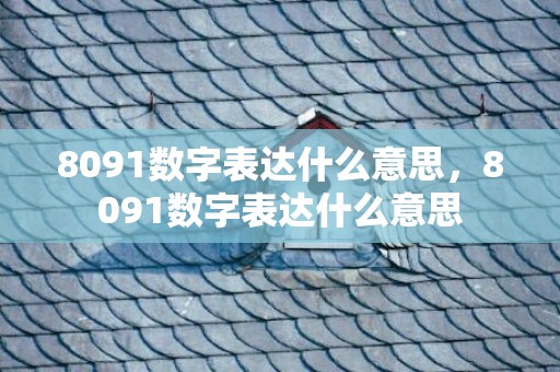 8091数字表达什么意思，8091数字表达什么意思