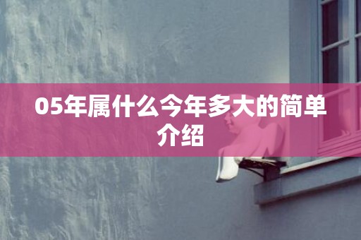 05年属什么今年多大的简单介绍