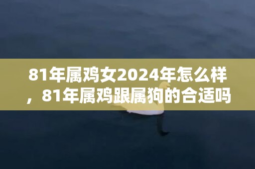 81年属鸡女2024年怎么样，81年属鸡跟属狗的合适吗