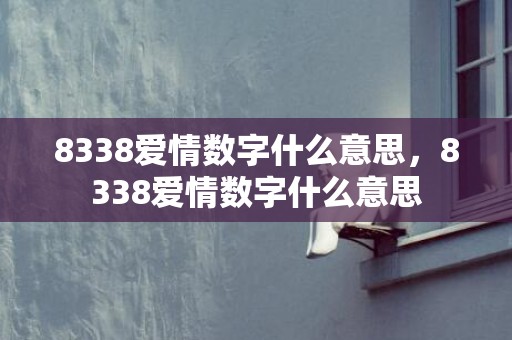 8338爱情数字什么意思，8338爱情数字什么意思