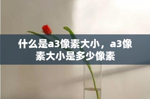 什么是a3像素大小，a3像素大小是多少像素