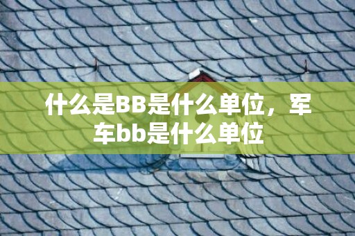 什么是BB是什么单位，军车bb是什么单位