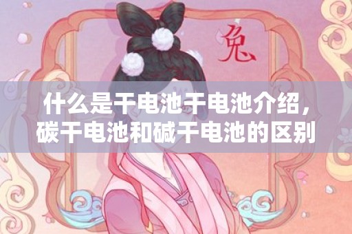 什么是干电池干电池介绍，碳干电池和碱干电池的区别