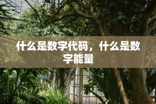 什么是数字代码，什么是数字能量