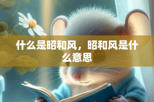 什么是昭和风，昭和风是什么意思