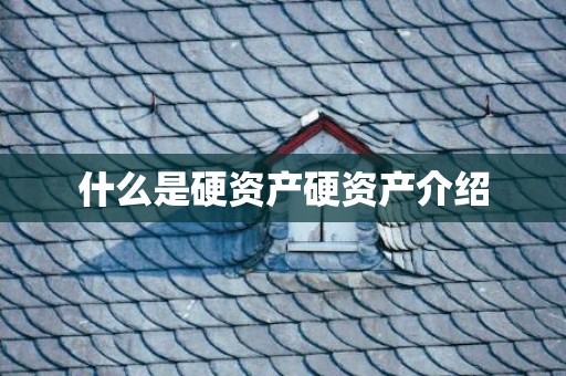 什么是硬资产硬资产介绍