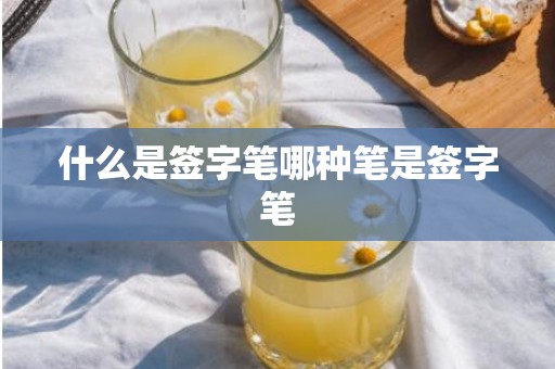 什么是签字笔哪种笔是签字笔