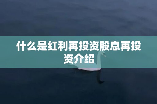 什么是红利再投资股息再投资介绍