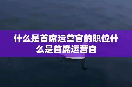 什么是首席运营官的职位什么是首席运营官