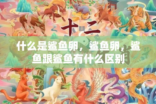 什么是鲨鱼卵，鲨鱼卵，鲨鱼跟鲨鱼有什么区别