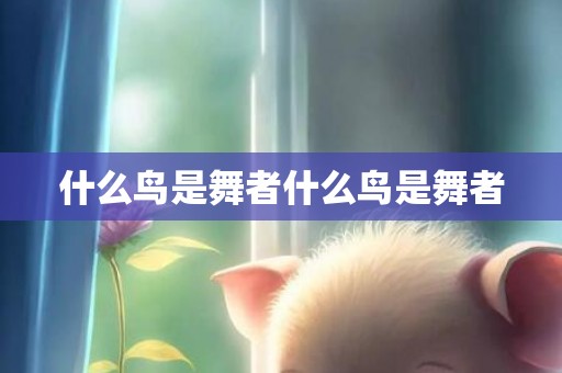 什么鸟是舞者什么鸟是舞者
