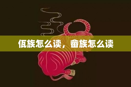 佤族怎么读，畲族怎么读