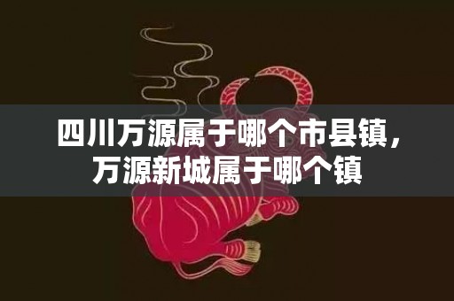 四川万源属于哪个市县镇，万源新城属于哪个镇