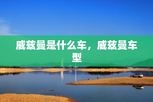 威兹曼是什么车，威兹曼车型