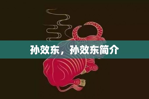 孙效东，孙效东简介