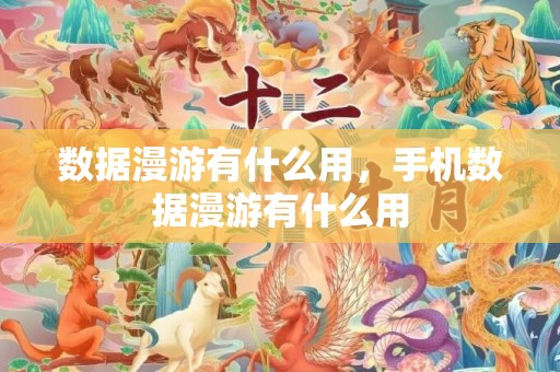 数据漫游有什么用，手机数据漫游有什么用