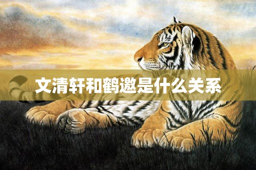 文清轩和鹤邀是什么关系