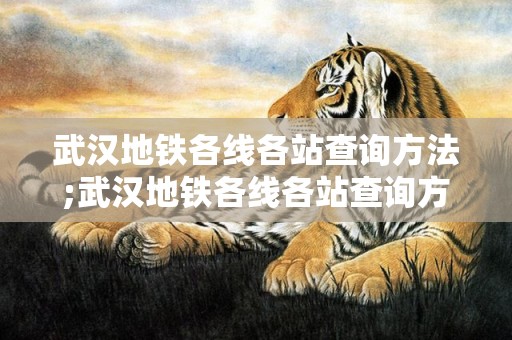 武汉地铁各线各站查询方法;武汉地铁各线各站查询方法表，武汉地铁学校