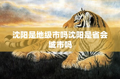沈阳是地级市吗沈阳是省会城市吗