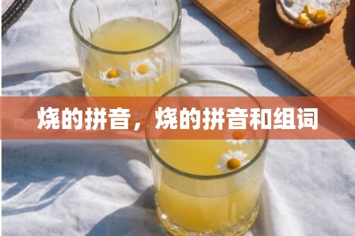 烧的拼音，烧的拼音和组词