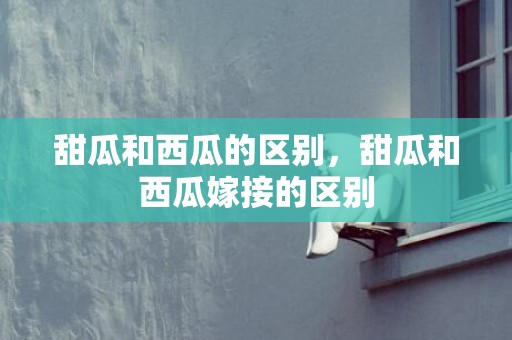 甜瓜和西瓜的区别，甜瓜和西瓜嫁接的区别