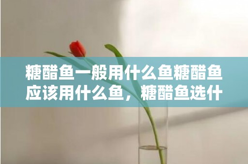 糖醋鱼一般用什么鱼糖醋鱼应该用什么鱼，糖醋鱼选什么鱼比较好吃