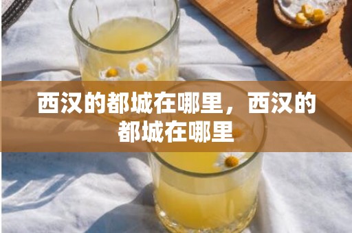 西汉的都城在哪里，西汉的都城在哪里