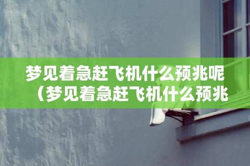 梦见着急赶飞机什么预兆呢（梦见着急赶飞机什么预兆）