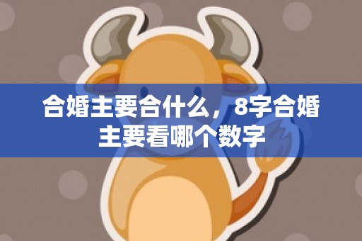 合婚主要合什么，8字合婚主要看哪个数字