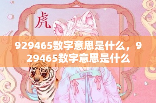 929465数字意思是什么，929465数字意思是什么