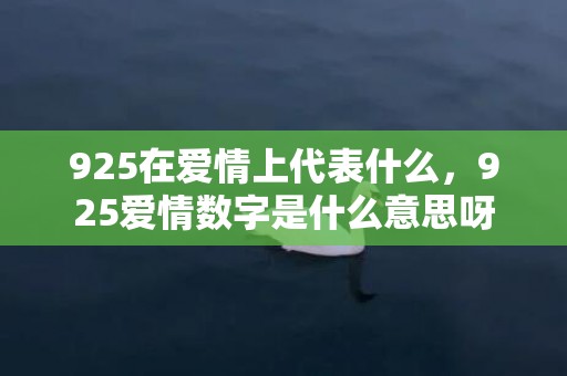 925在爱情上代表什么，925爱情数字是什么意思呀