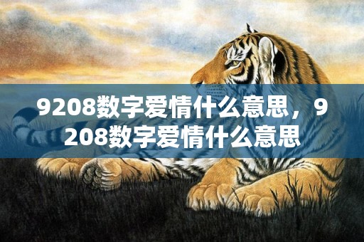 9208数字爱情什么意思，9208数字爱情什么意思